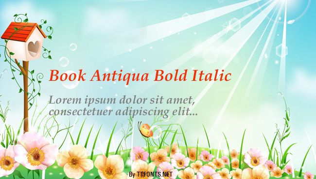 Book Antiqua Bold Italic example